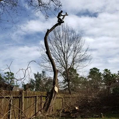 Reliable garden landscaping for residential properties across Houston, TX - Valley Oak Tree Care