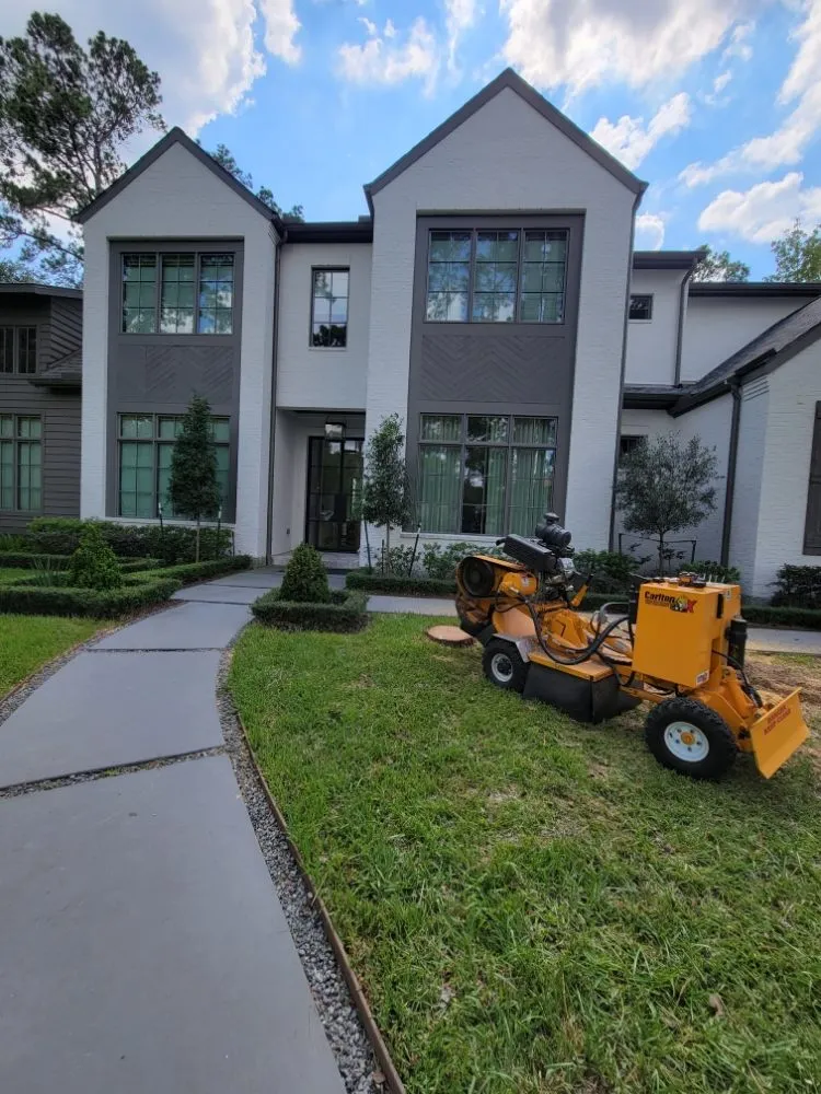 Reliable yard cleanup service for year-round maintenance across Houston, TX - Valley Oak Tree Care