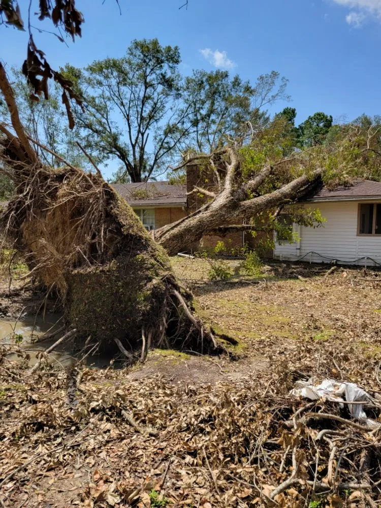 Affordable landscape installation in Houston, TX by Valley Oak Tree Care