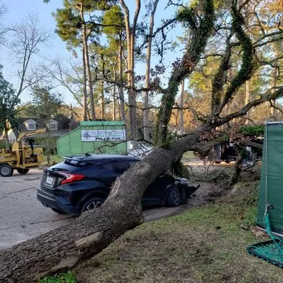 Local yard maintenance for homes in Houston, TX by Valley Oak Tree Care