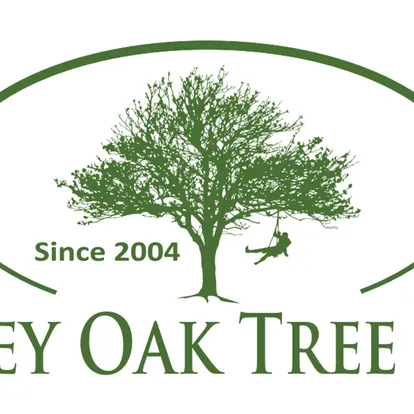 Reliable landscape design for residential properties across Houston, TX - Valley Oak Tree Care