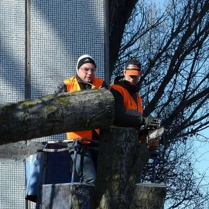 Custom residential landscaping experts serving Houston, TX - Valley Oak Tree Care