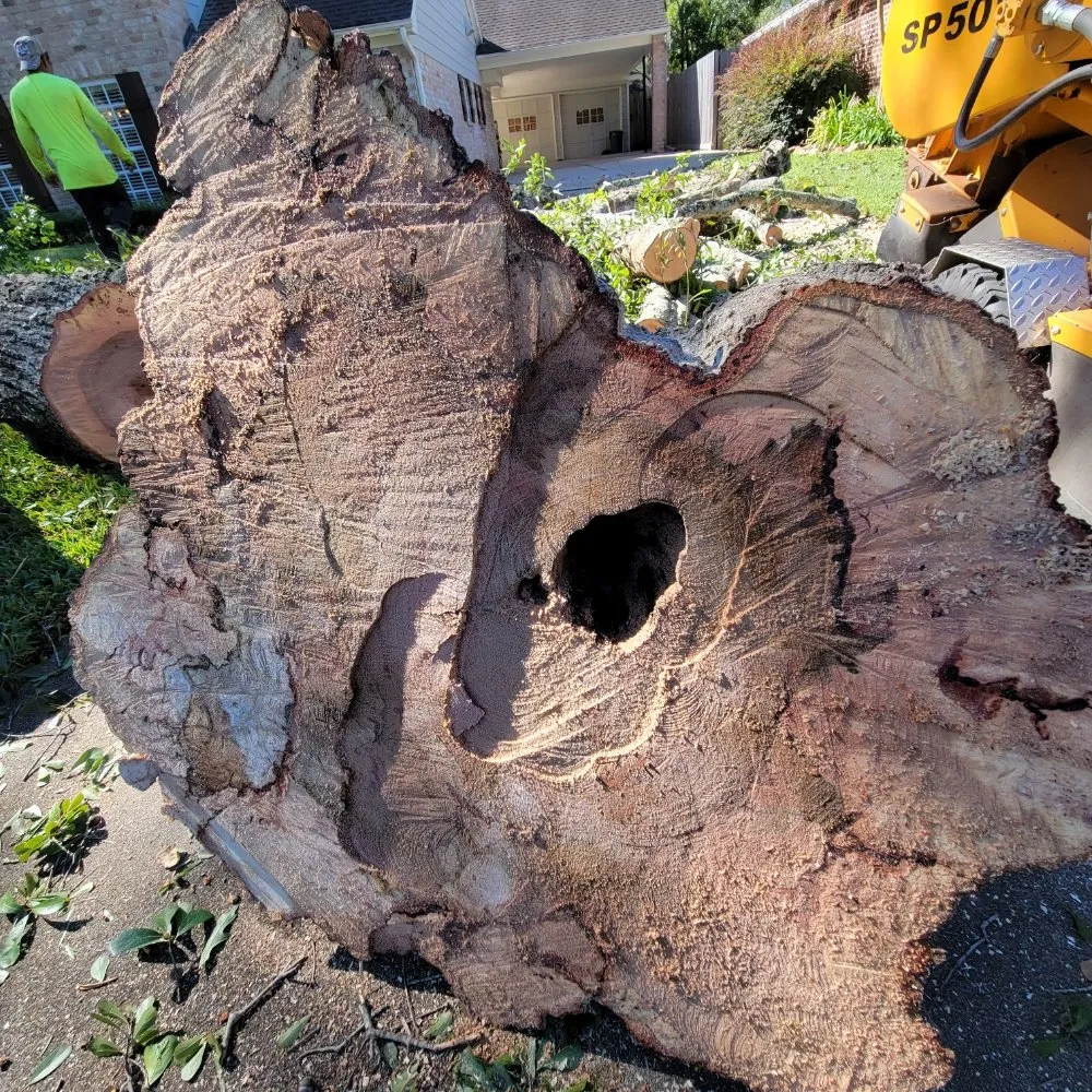 Expert yard maintenance with custom design in Houston, TX by Valley Oak Tree Care