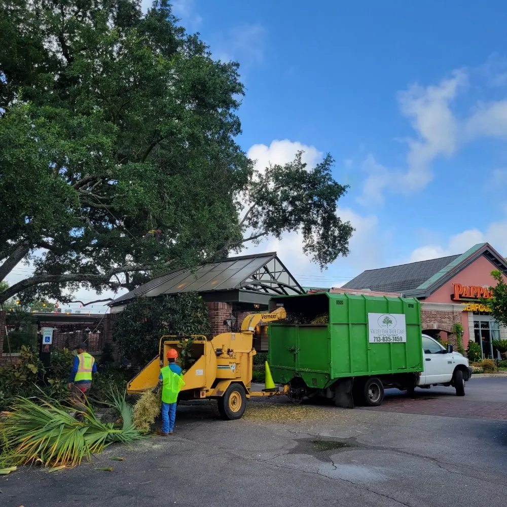 Trusted yard maintenance in Houston, TX by Valley Oak Tree Care