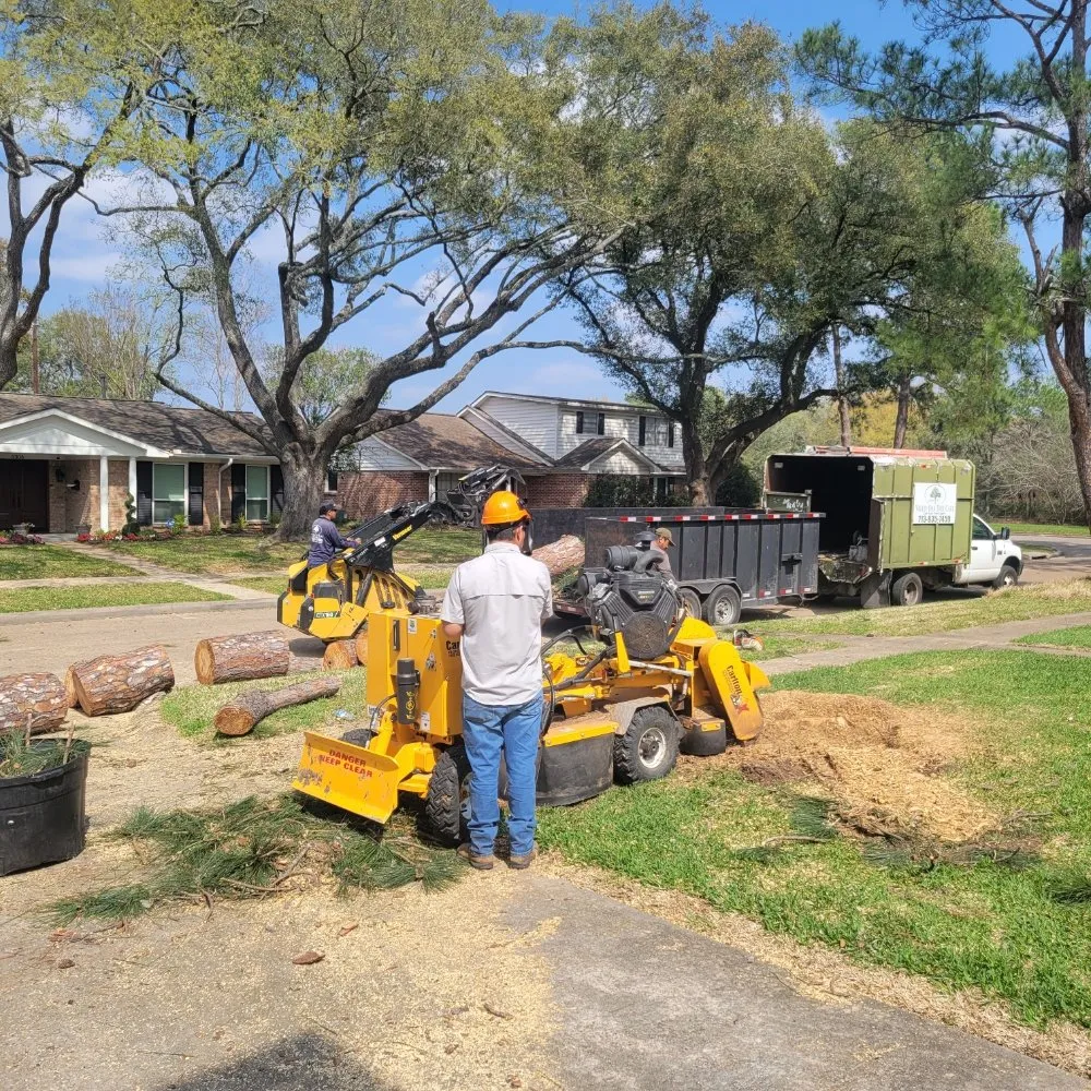 Trusted yard cleanup service in Houston, TX by Valley Oak Tree Care