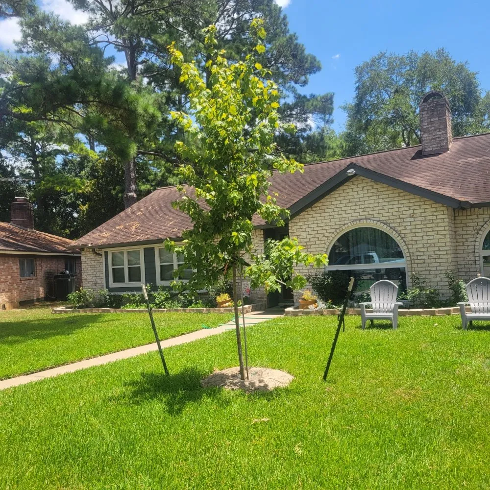 Custom garden landscaping for year-round maintenance across Houston, TX - Valley Oak Tree Care