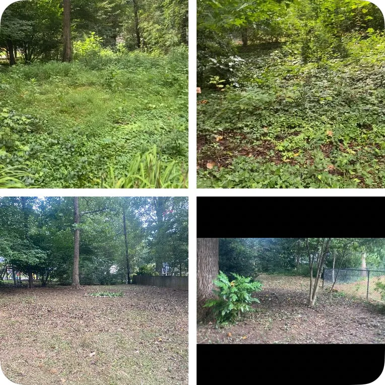 Reliable yard maintenance for beautiful yards in Advance, NC by Valley Oaks Landscaping