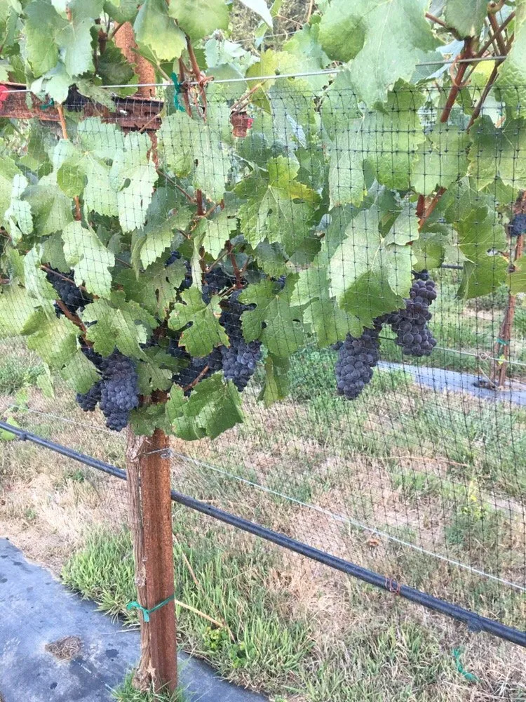 Professional outdoor landscaping in Grants Pass, OR - Valley Oaks Landscaping