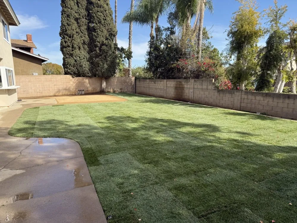 Professional lawn care service in Riverside, CA by Valley Pacific Landscape