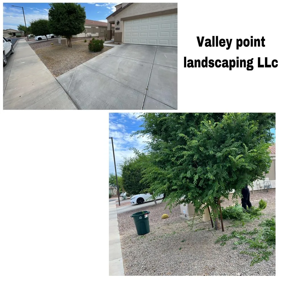 Top-rated yard cleanup service for residential properties across Waddell, AZ - Valley point landscaping