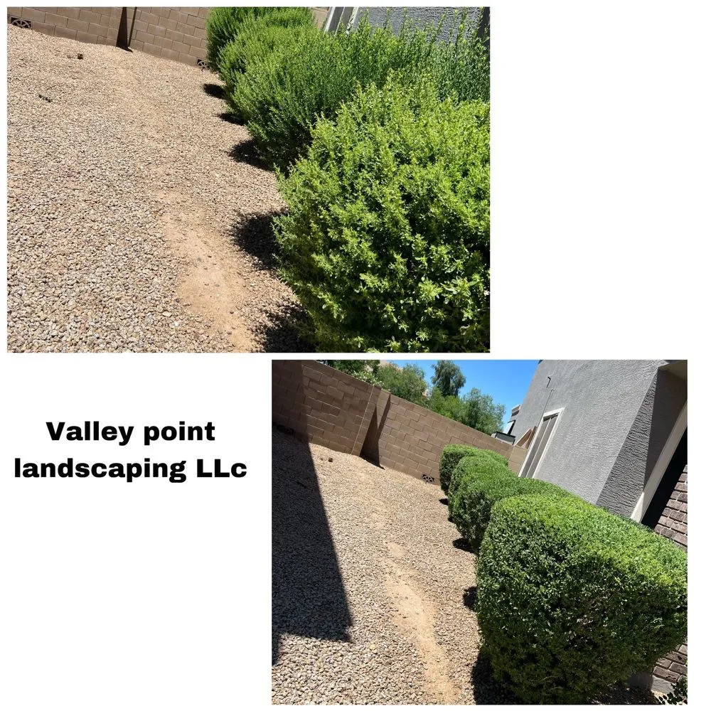 Professional yard cleanup service in Waddell, AZ by Valley point landscaping