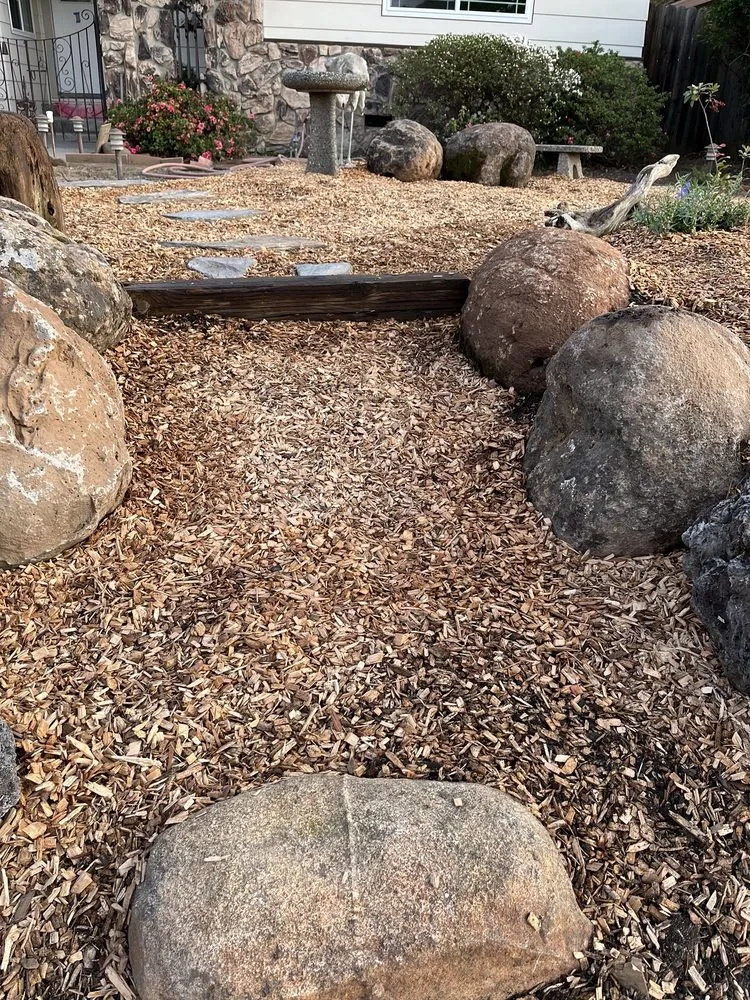 Top-rated residential landscaping experts serving Sacramento, CA - Valley Redwood