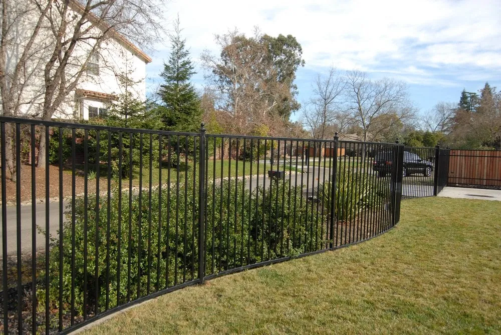 Local yard cleanup service in Sacramento, CA by Valley Redwood