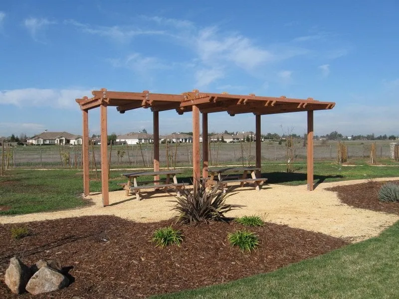 Affordable yard maintenance in Sacramento, CA - Valley Redwood