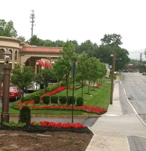 Affordable yard maintenance experts serving Wayne, NJ - Valley Ridge Landscaping