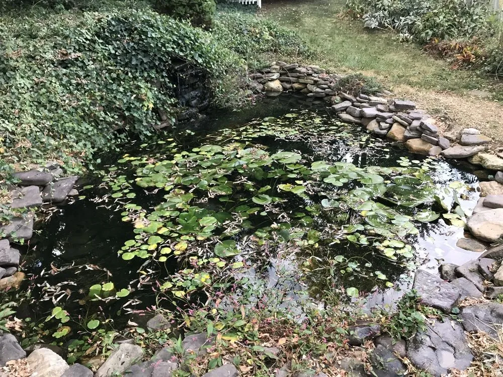 Professional landscape design for outdoor upgrades across Harrisonburg, VA - Valley Rock & Water Creations