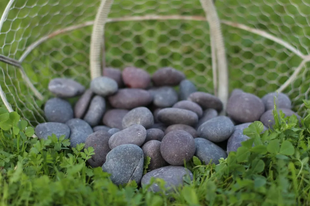 Trusted garden landscaping in Loomis, CA by Valley Rock