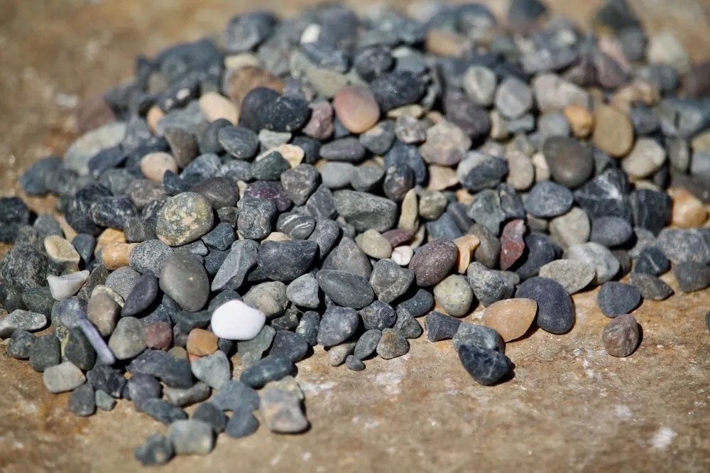 Custom yard cleanup service experts serving Loomis, CA - Valley Rock