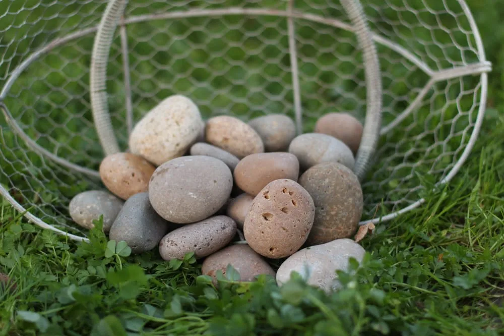 Custom landscape installation for year-round maintenance in Loomis, CA by Valley Rock