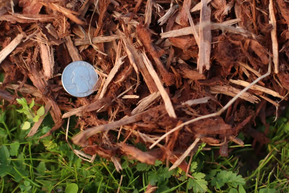 Reliable garden landscaping for year-round maintenance across Loomis, CA - Valley Rock