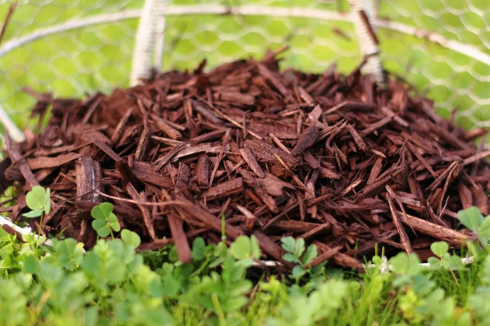 Professional garden landscaping experts serving Loomis, CA - Valley Rock