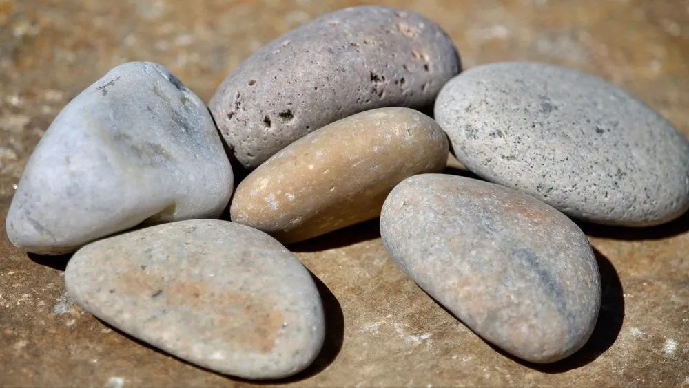 Custom yard cleanup service near you across Loomis, CA - Valley Rock