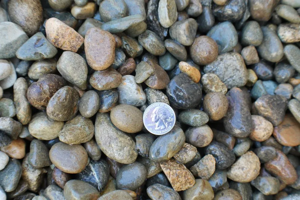 Affordable landscape design in Loomis, CA - Valley Rock