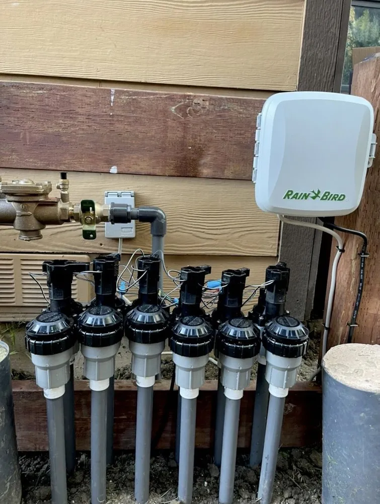 Affordable residential landscaping in Rocklin, CA by Valley Springs Irrigation