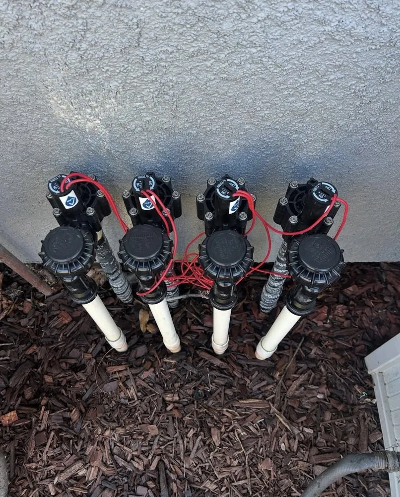 Professional yard cleanup service in Rocklin, CA by Valley Springs Irrigation