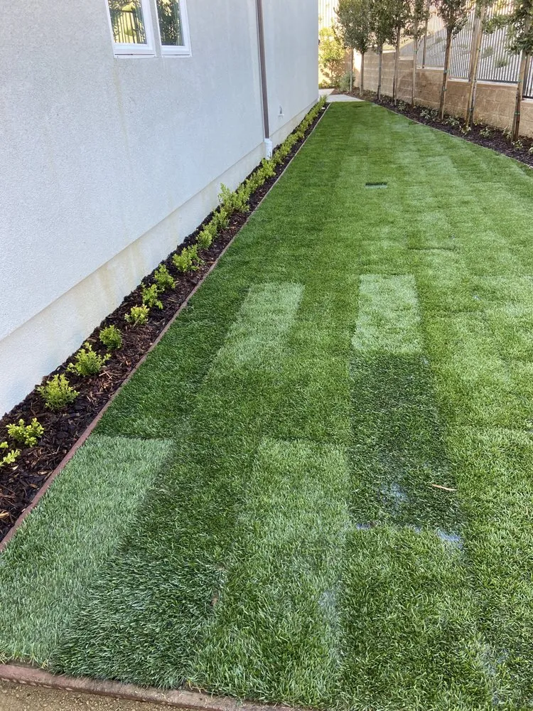 Expert outdoor landscaping for outdoor upgrades across Reseda, CA - Valley Top Horn Hardscaping