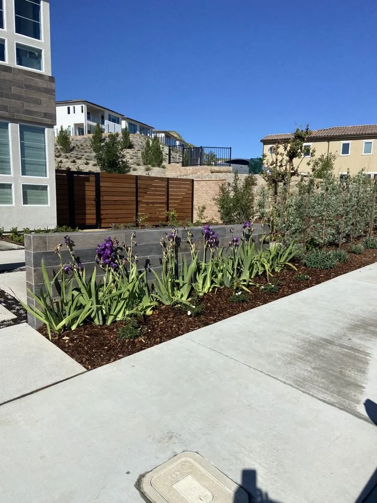 Local landscaping services near you across Reseda, CA - Valley Top Horn Hardscaping