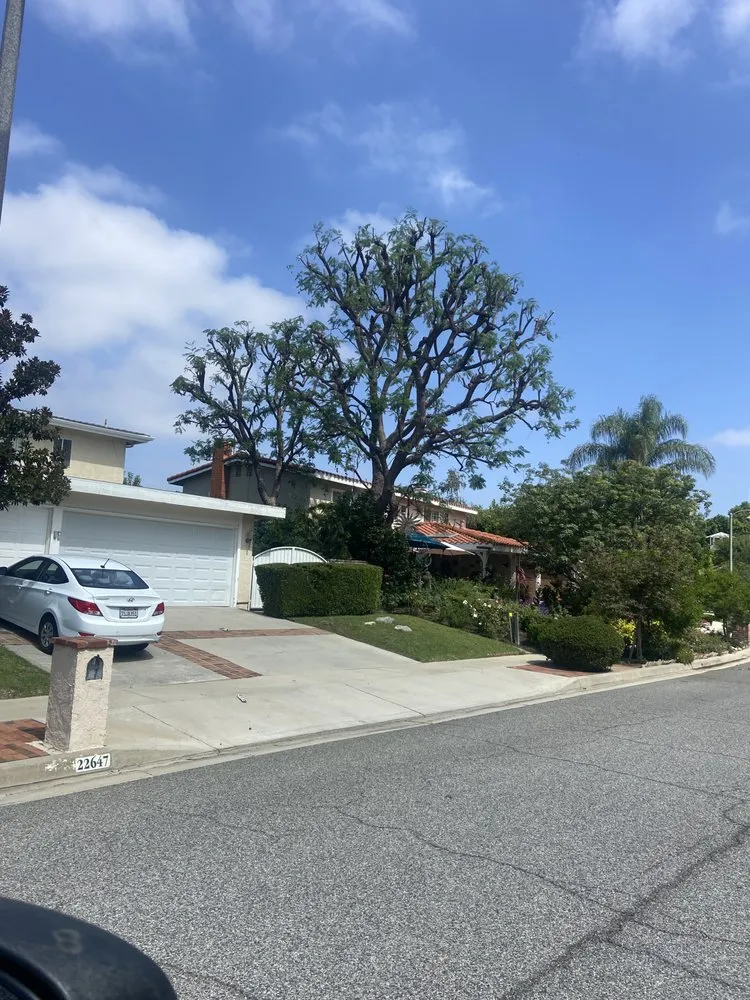 Local lawn care service in Reseda, CA - Valley Top Horn Hardscaping