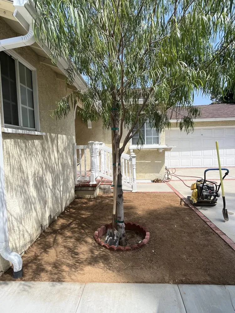 Top-rated yard cleanup service for beautiful yards across Reseda, CA - Valley Top Horn Hardscaping