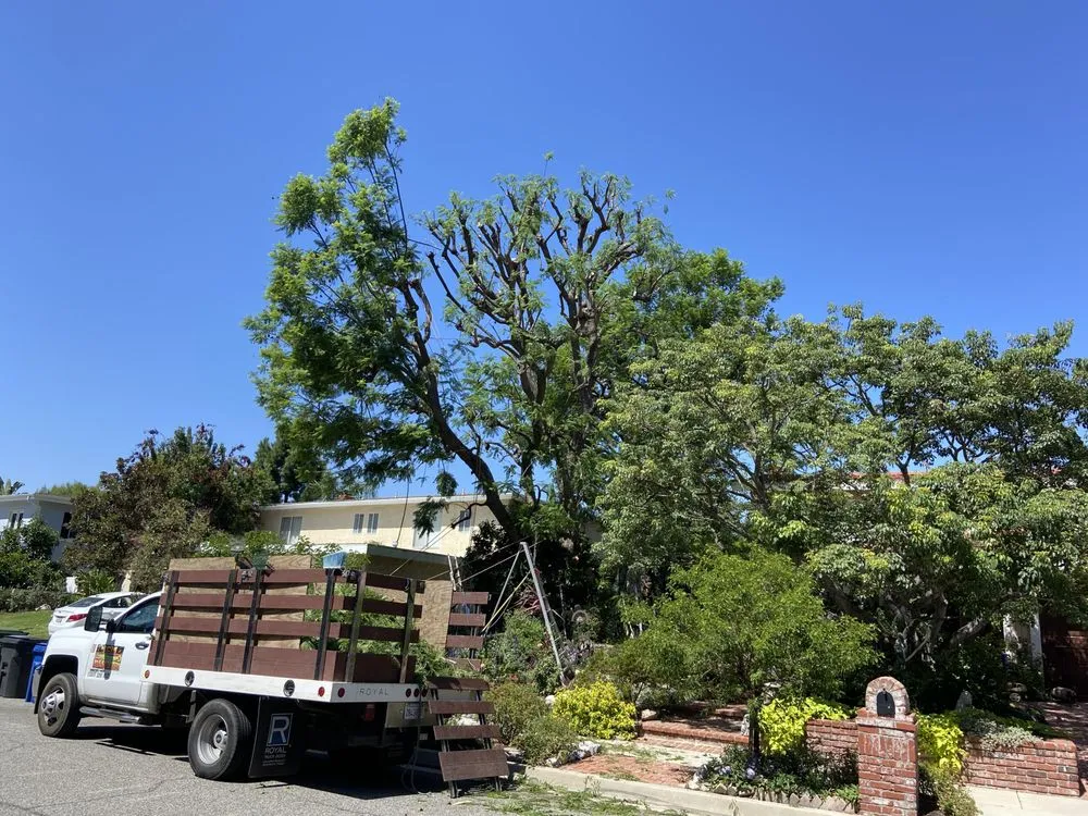 Local outdoor landscaping for homes in Reseda, CA by Valley Top Horn Hardscaping