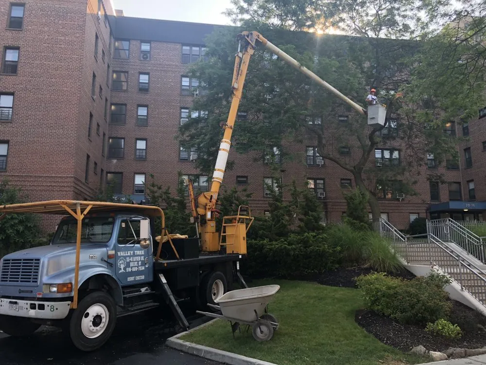 Professional landscape design with custom design in Long Beach, NY by Valley Tree & Landscape Service