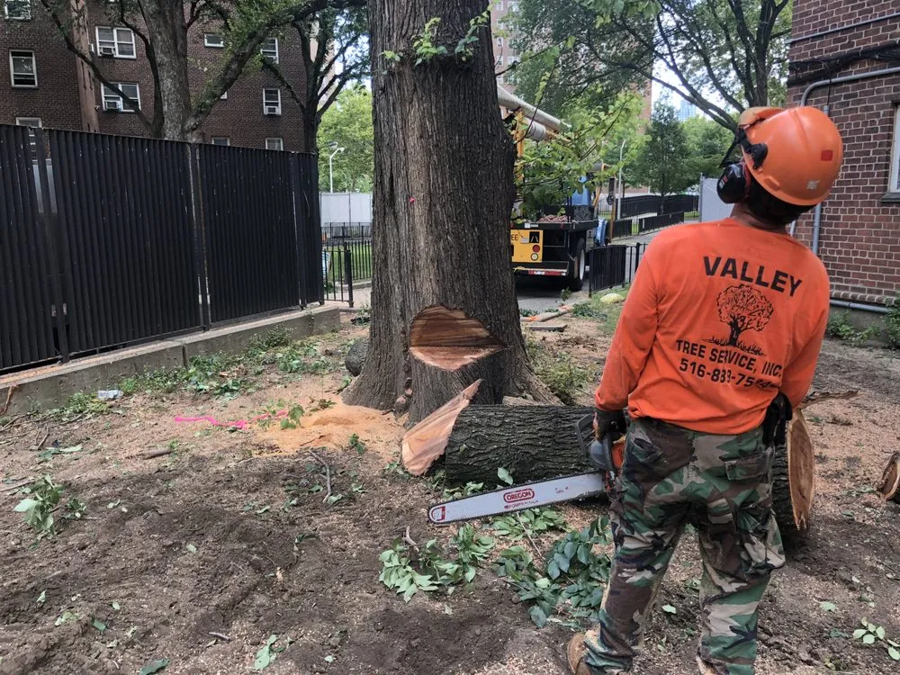 Top-rated lawn care service for homes across Long Beach, NY - Valley Tree & Landscape Service