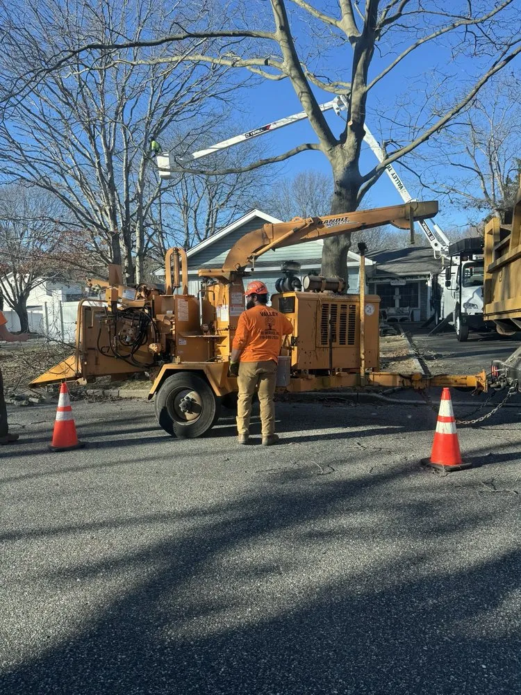 Trusted lawn care service in Long Beach, NY by Valley Tree & Landscape Service