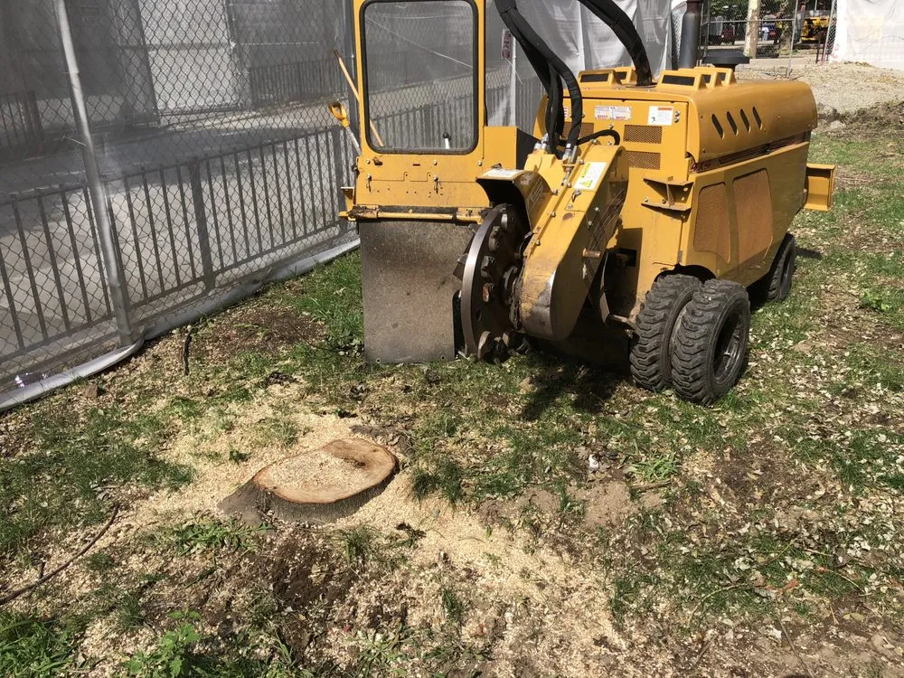 Top-rated residential landscaping in Long Beach, NY - Valley Tree & Landscape Service