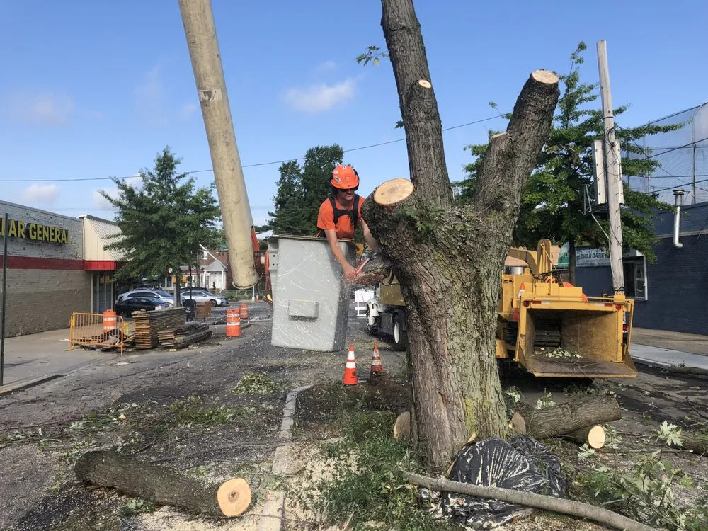 Affordable landscape design in Long Beach, NY - Valley Tree & Landscape Service