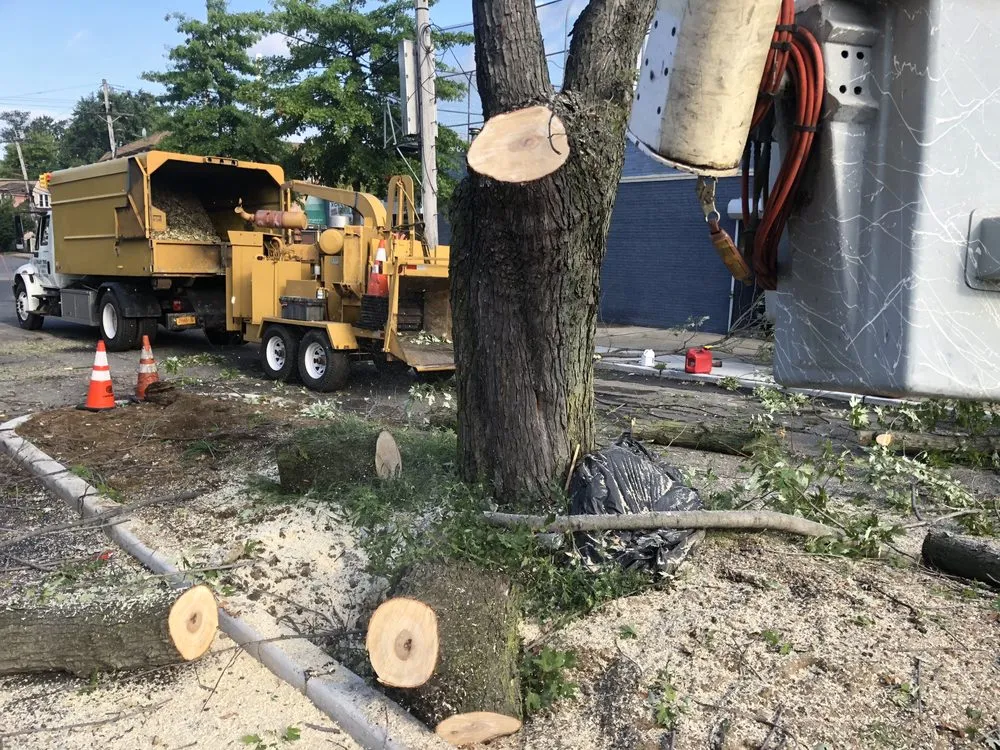 Custom lawn mowing service in Long Beach, NY by Valley Tree & Landscape Service