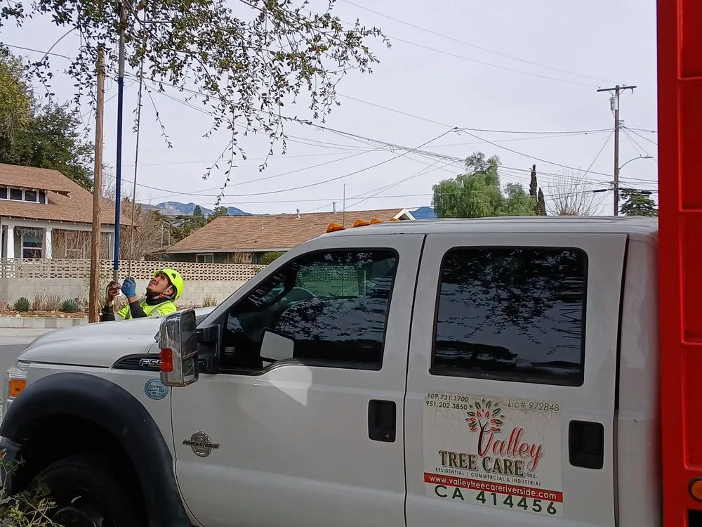 Affordable garden landscaping in Apple Valley, CA - Valley Tree Care