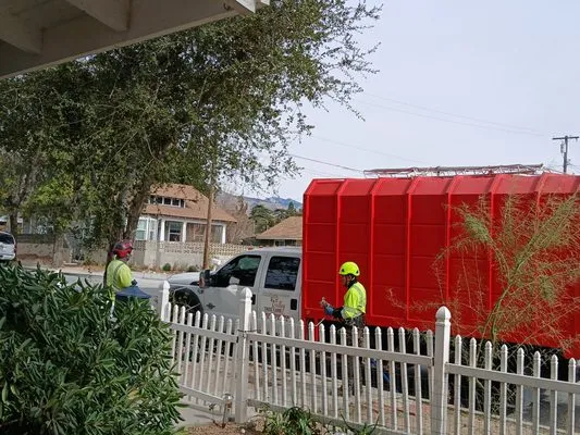 Valley Tree Care Logo