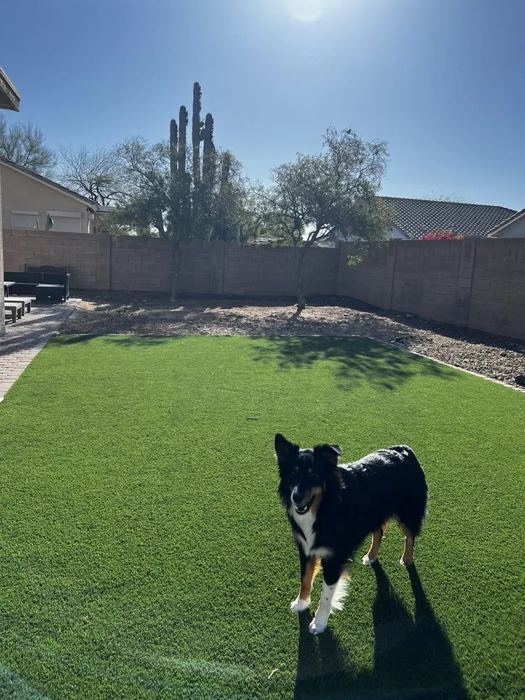 Affordable yard maintenance in Phoenix, AZ - Valley Trimming