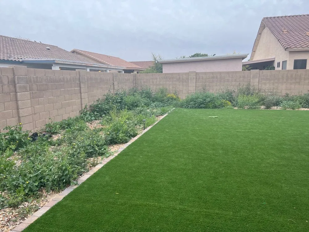 Top-rated yard cleanup service experts serving Phoenix, AZ - Valley Trimming