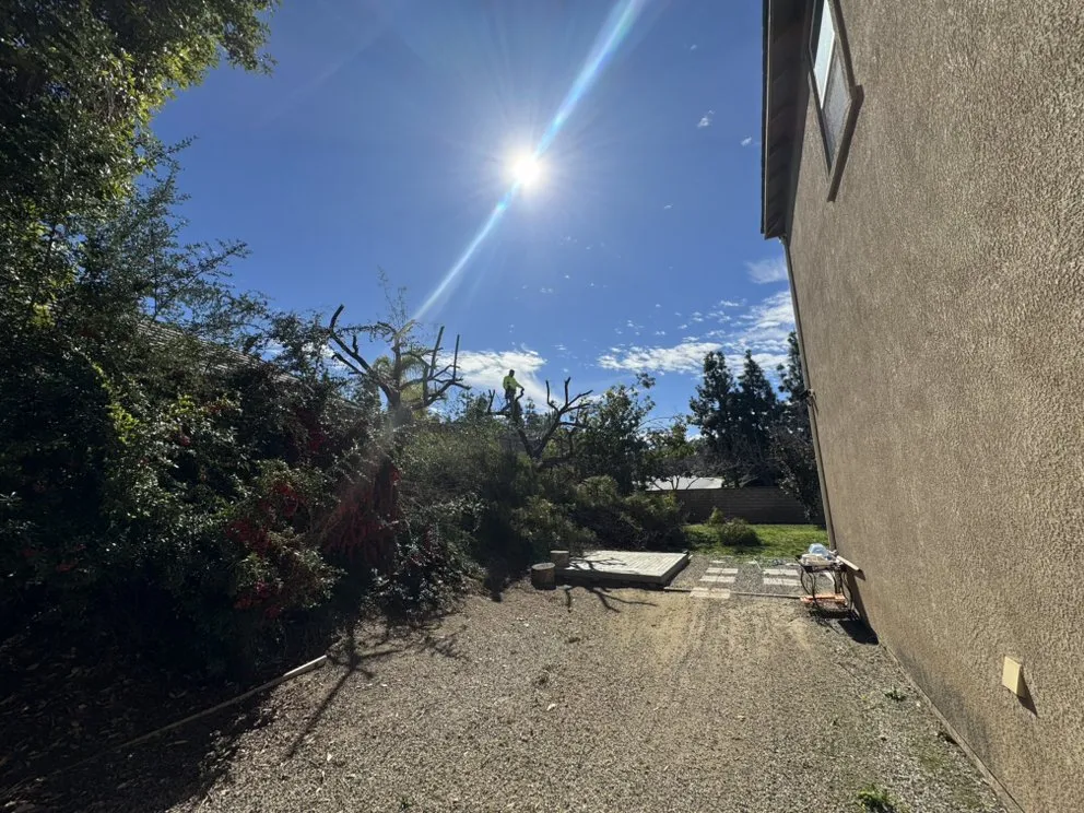 Custom garden landscaping in Perris, CA - Valley Verde Landscaping