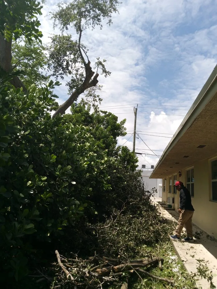 Trusted lawn mowing service in Lake Worth, FL - Valley Verde Lansdcaping