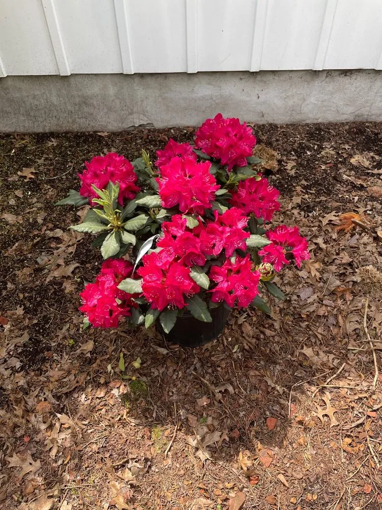 Trusted garden landscaping for homes across Cortland, NY - Valley View Gardens