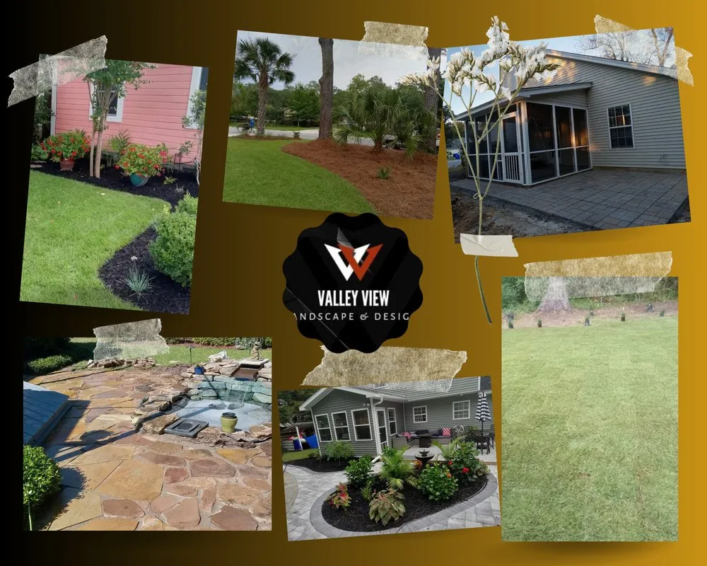 Expert lawn care service for outdoor upgrades across Mount Pleasant, SC - Valley View Landscape and Design