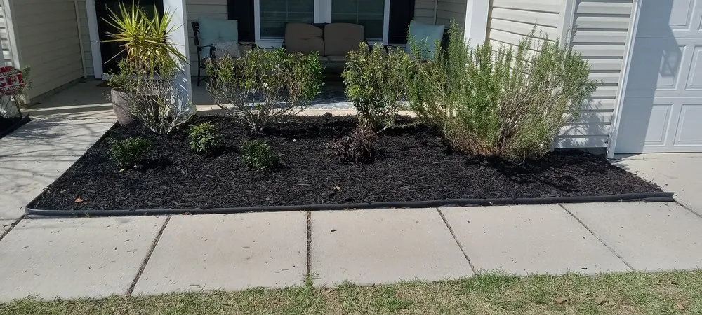 Trusted landscaping services in Mount Pleasant, SC - Valley View Landscape and Design