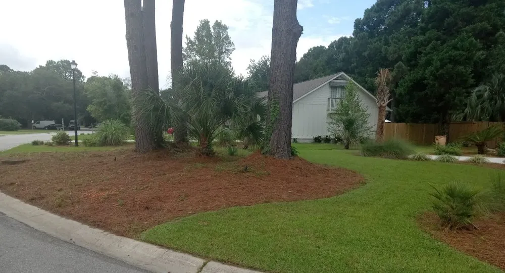 Trusted lawn care service in Mount Pleasant, SC - Valley View Landscape and Design